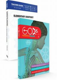 Elementary Anatomy: Nervous Respiratory & Circulatory Systems Curriculum Set