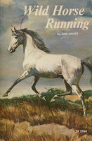 Wild Horse Running