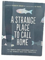 A Strange Place to Call Home