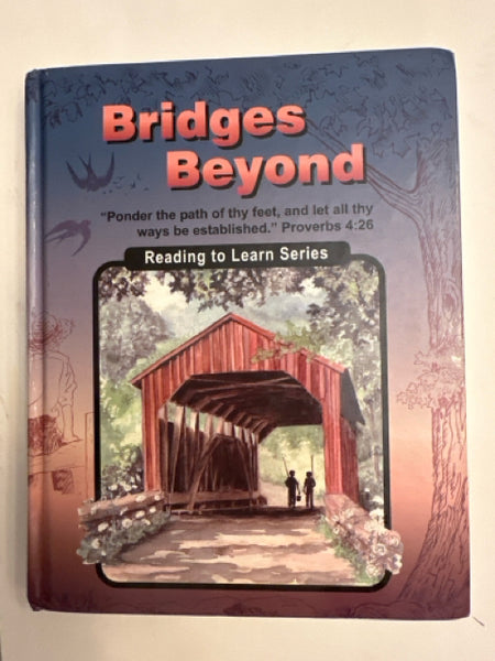 Bridges Beyond