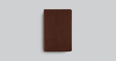 ESV Student Study Bible Tru-Tone Chestnut