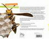 Applied Engineering Set