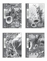 ACE Science 6  Key Set 1061-1072