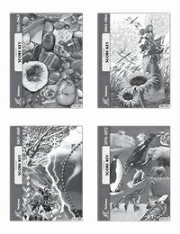 ACE Science 6  Key Set 1061-1072