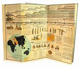 Adam's Syn Chronological Chart of Map of History
