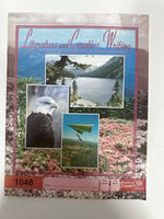 ACE Literature & Creative Writing Pace 5 1048