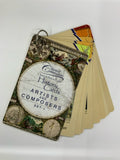 History Cards: Artists and Composers Set 1