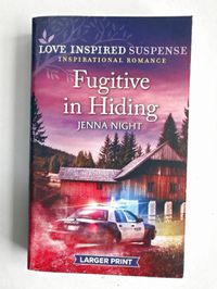 Love Inspired Suspense: Fugitive in Hiding