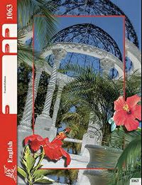 ACE English 6 1063