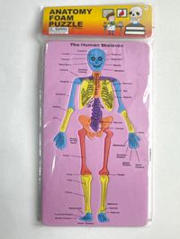 Anatomy Foam Puzzle: The Human Skeleton