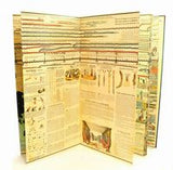 Adam's Syn Chronological Chart of Map of History