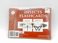 Insects Flashcards