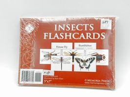 Insects Flashcards