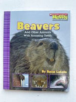 Beavers And Other Animals with Amazing Teeth