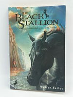The Black Stallion