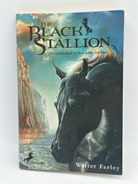 The Black Stallion