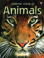 Usborne World of Animals