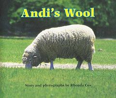 Andi's Wool