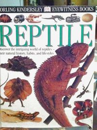 DK Eyewitness Books: Reptile