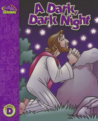 Guided Beginning Reader: Level D, A Dark, Dark Night