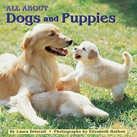 All About Dogs and Puppies