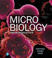 Micro Biology An Introduction