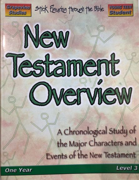 New Testament Overview Young Teen Student