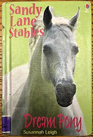 Sandy Lane Stables: Dream Pony